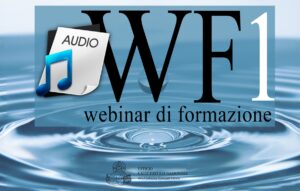 Webinar di Formazione 1 audio